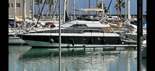 Mochi craft mochi 46 fly