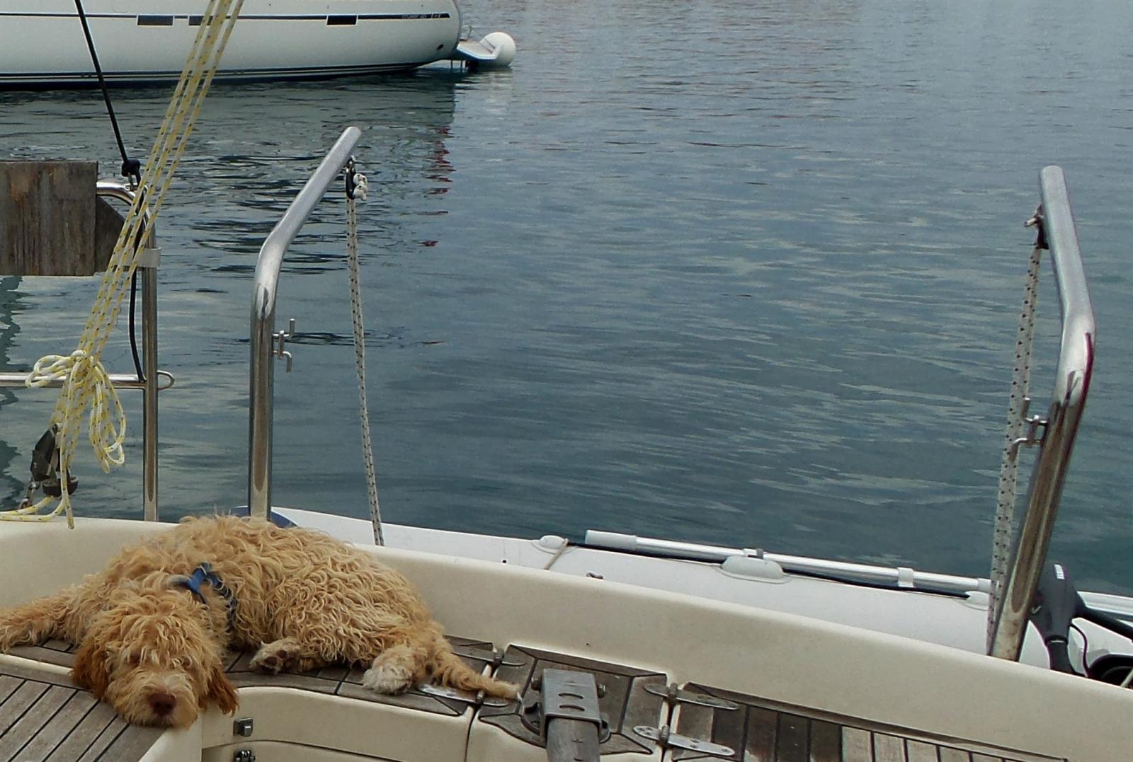 hanse Hanse 311