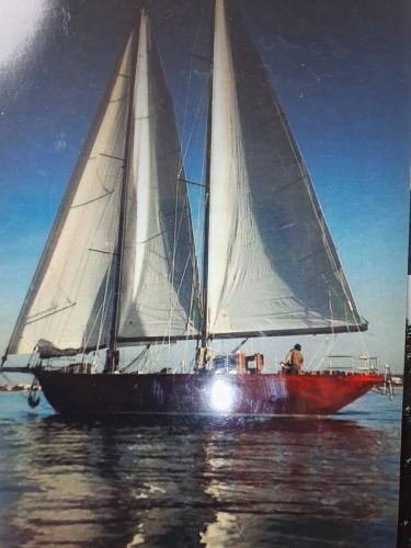 Classic verdicchio 56