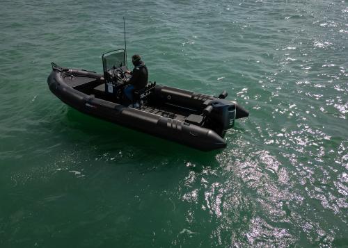 Tarpon pro tarpon dv65