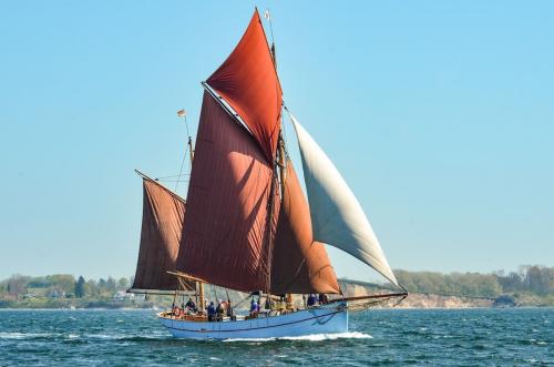 Skagen boatyard shark cutter/haicutter