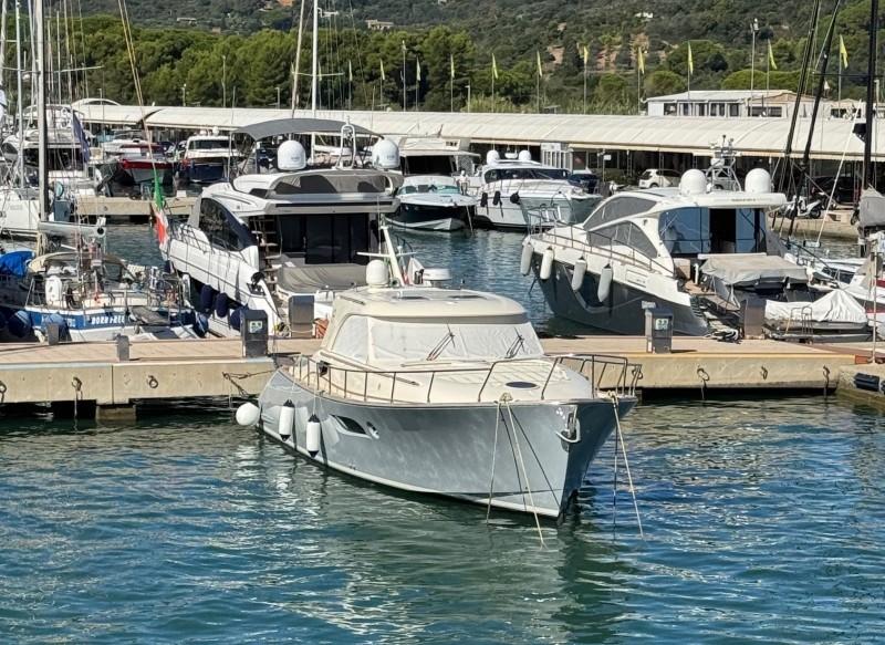 mochi craft Mochi 44 dolphin