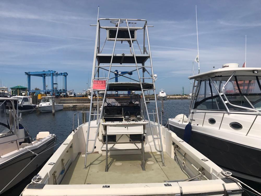 robalo Robalo 26 cavin walkaround