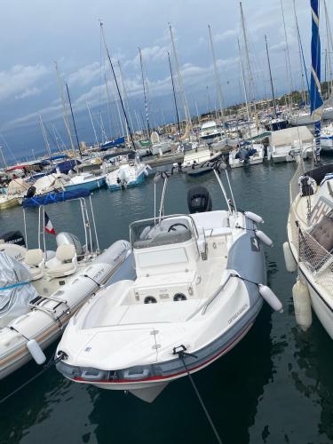 Zar zar 53 classic luxury 2022