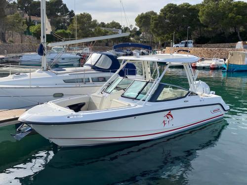 Boston whaler 240 vantage