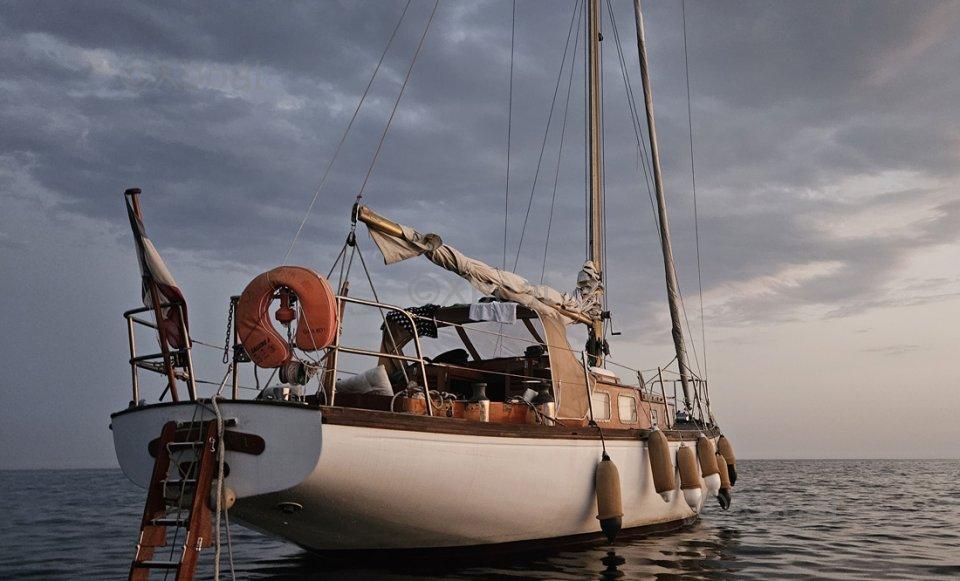 meeusen Sloop classique