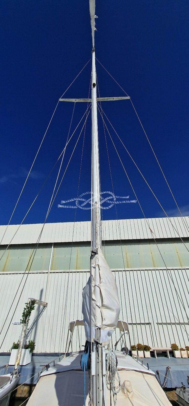 franchini yachts Adriatico 37