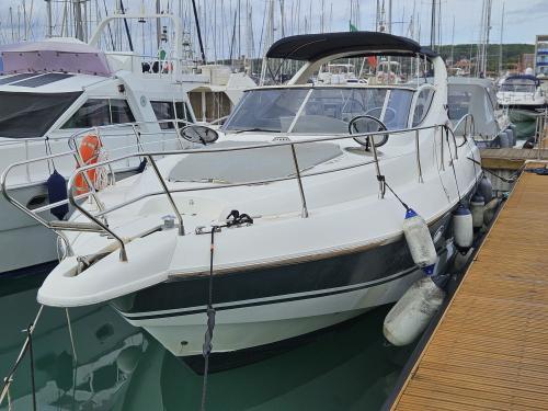 Salpa laver 38.5
