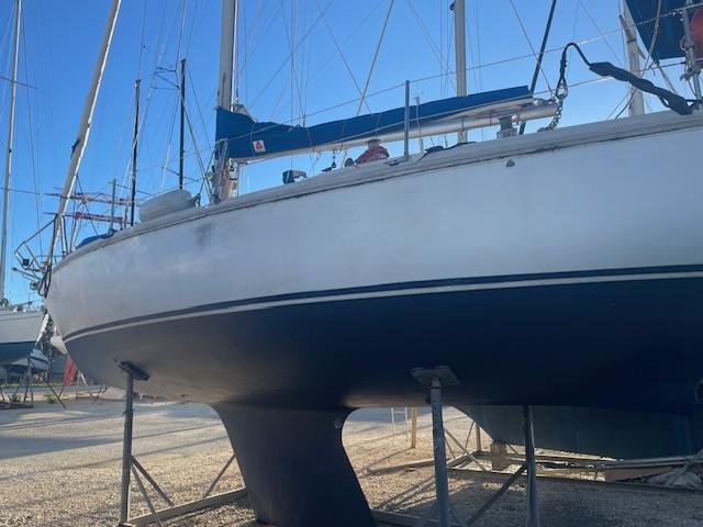 gibert marine GIN FIZZ