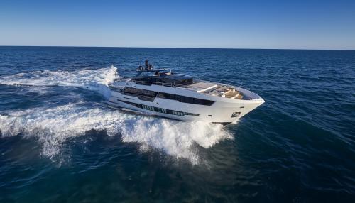 Astondoa 100 century