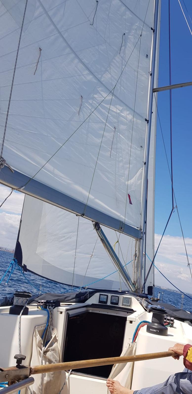 x-yachts X 442