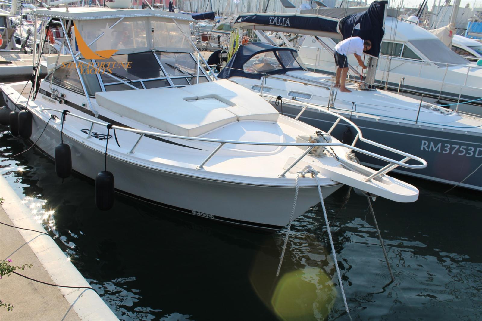 blackfin 31 combi