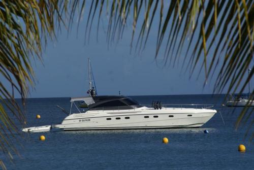 Fiart mare 50 genius