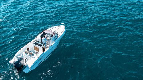 Ranieri sauvage 24