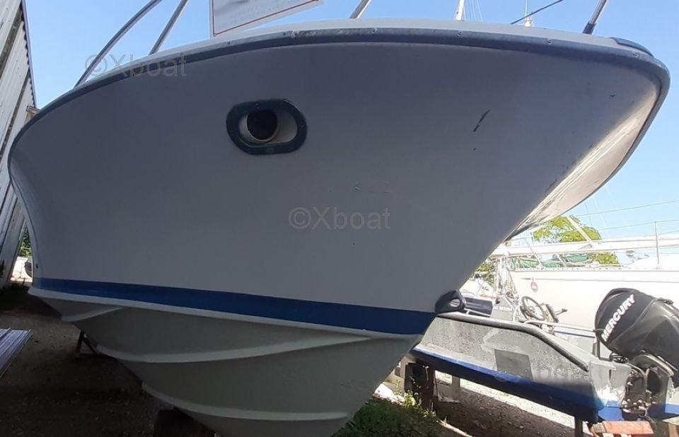 riva Riva bertram 25 sport fisherman