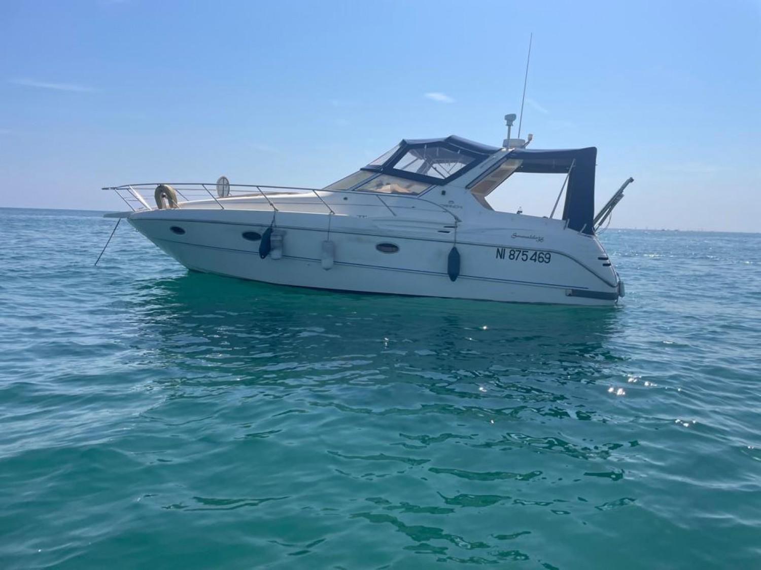 cranchi Smeraldo 36