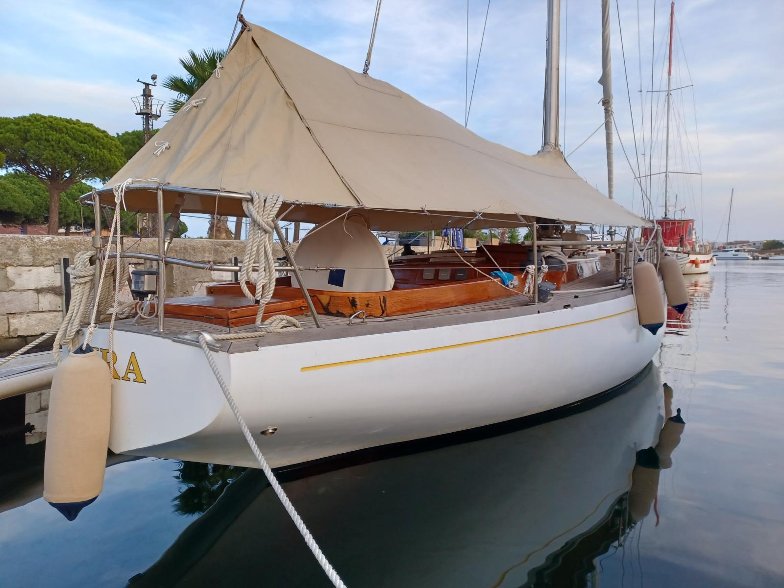 Sciarrelli 82