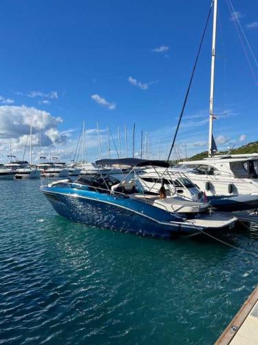 Cranchi endurance 30