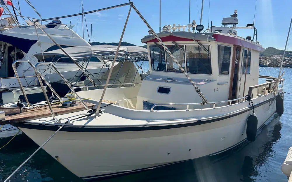 tarfish Tarfish 1040