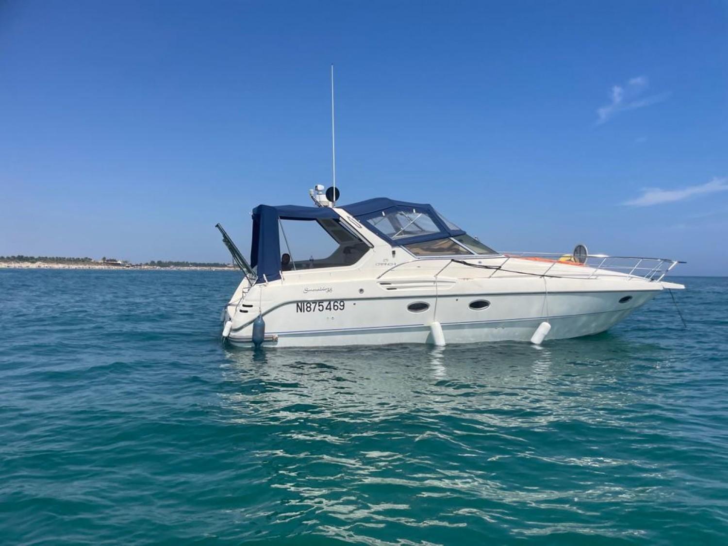 cranchi Smeraldo 36