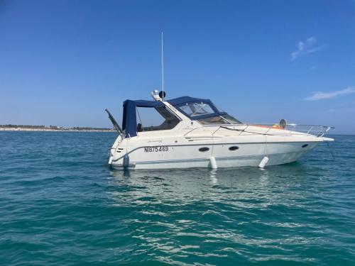 Cranchi smeraldo 36