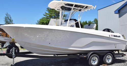 Wellcraft marine 222 fisherman