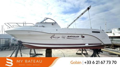 Quicksilver 620 flamingo