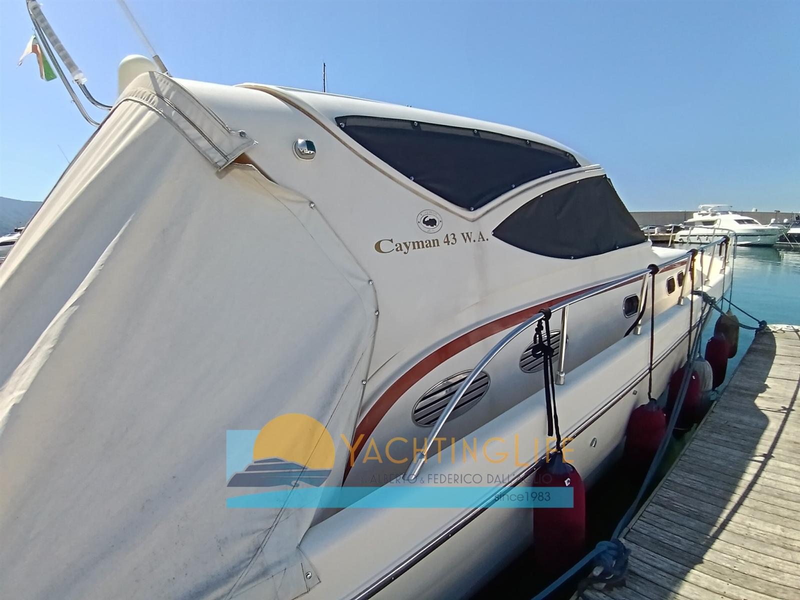 cayman 43 wa