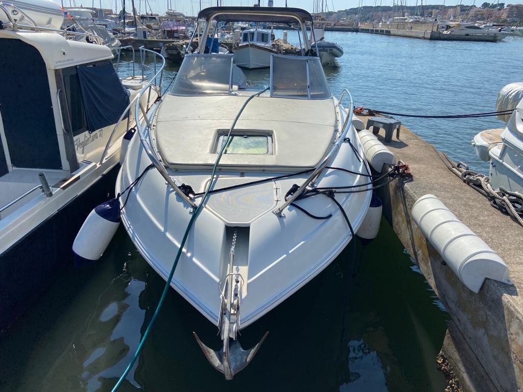 fiart mare 28 genius