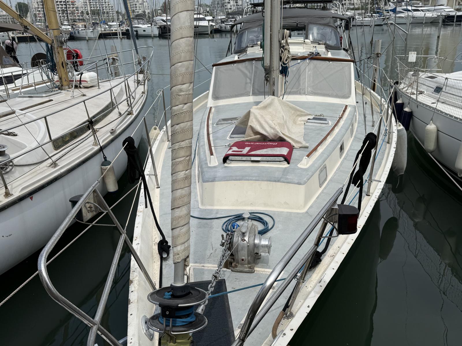 wauquiez Antigua 37