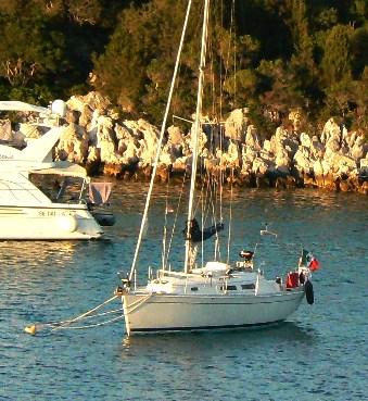hanse Hanse 311