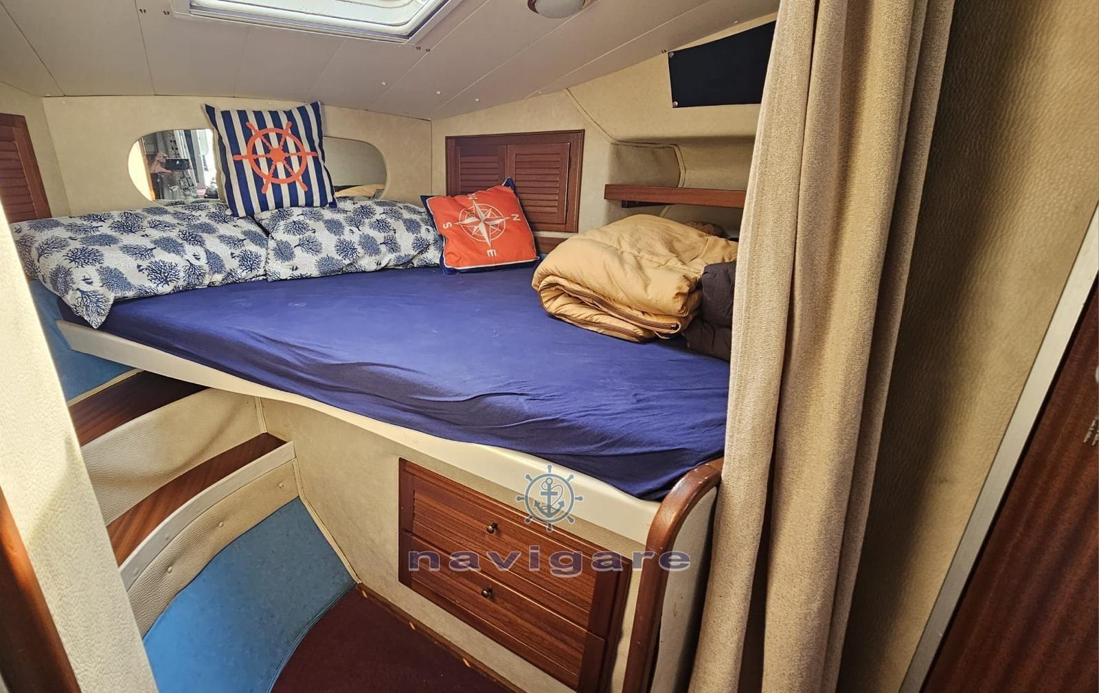 plastik Space 310 cruiser