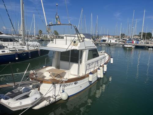 Sciallino sciallino 33 fly