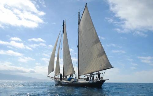 Sciarrelli schooner