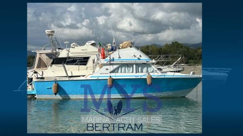 Bertram yacht 28 fly