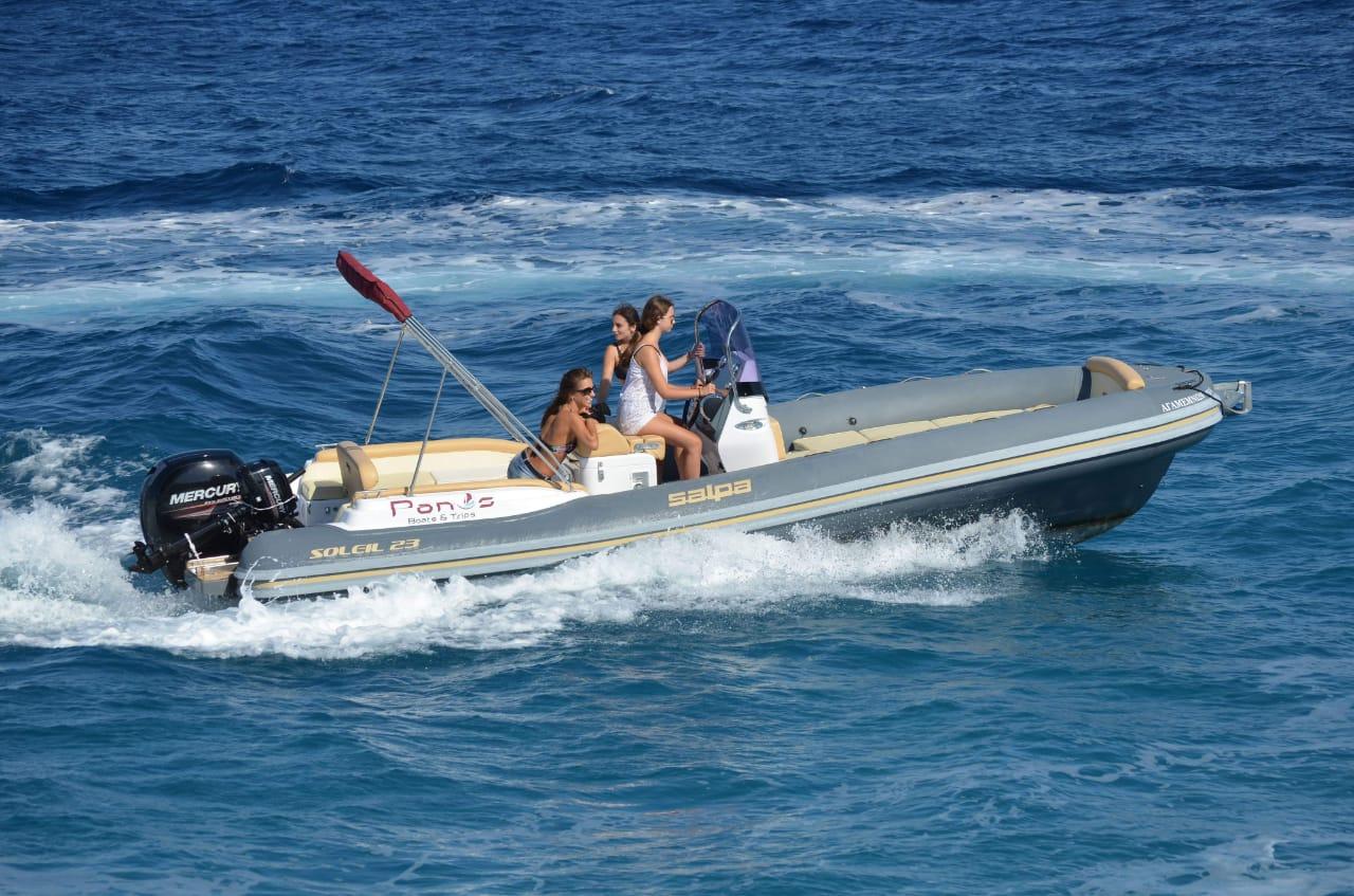 salpa Soleil 23