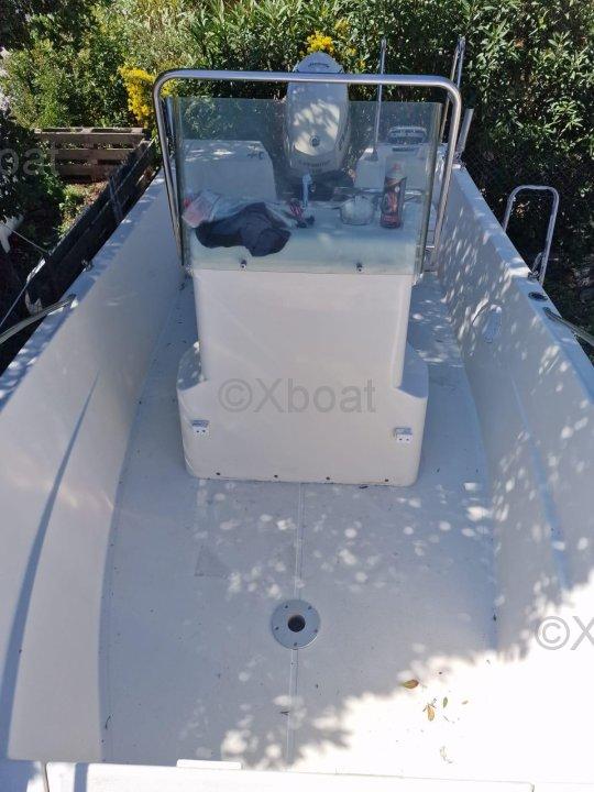 kelt White shark 175