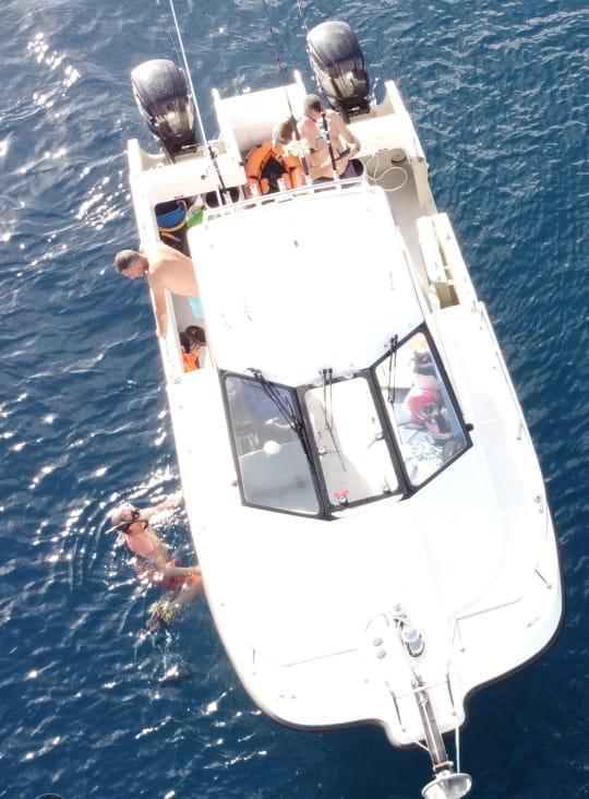 cheetah marine Cheetah marine 6.9