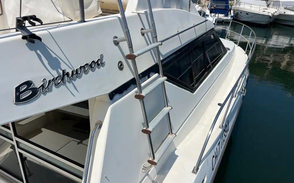 birchwood Birchwood 33