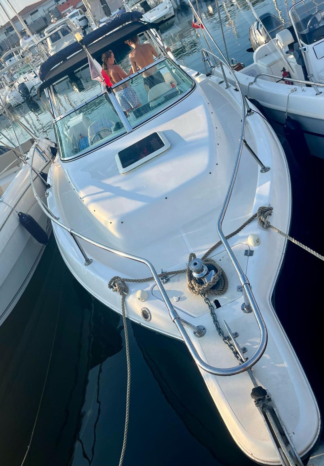 seaswirl Striper 755