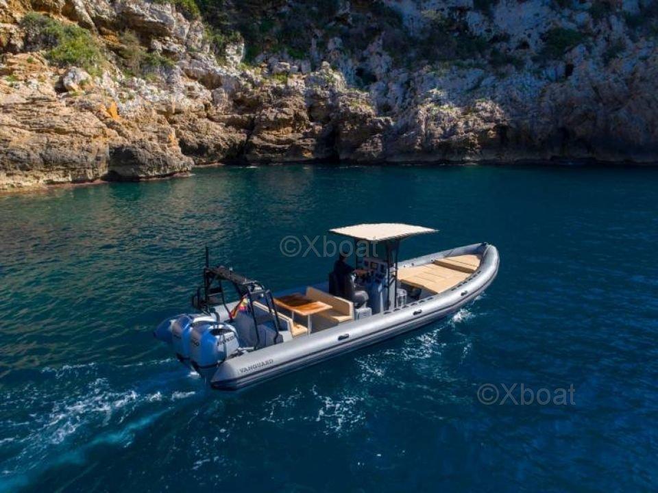 vanguard Vanguard tx 10