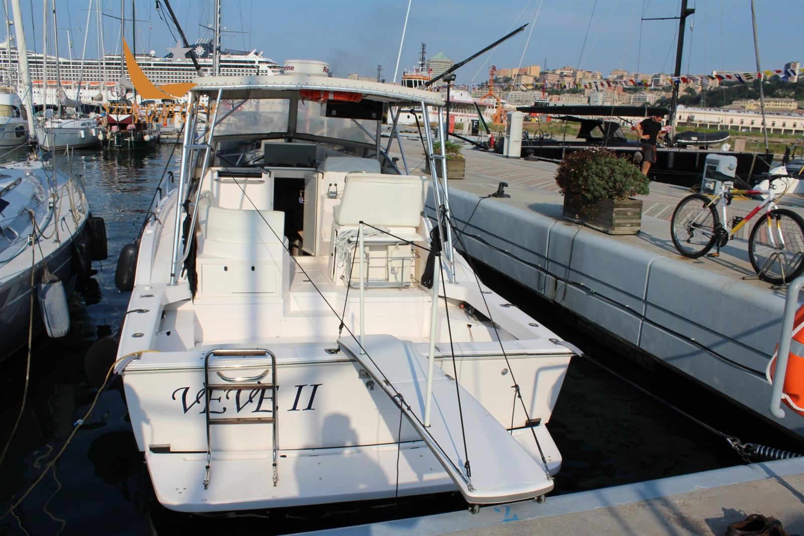 blackfin 31 combi