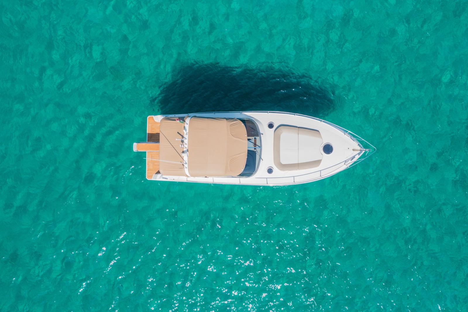 fiart mare 34 genius