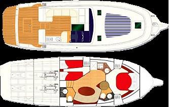 cayman 43 wa