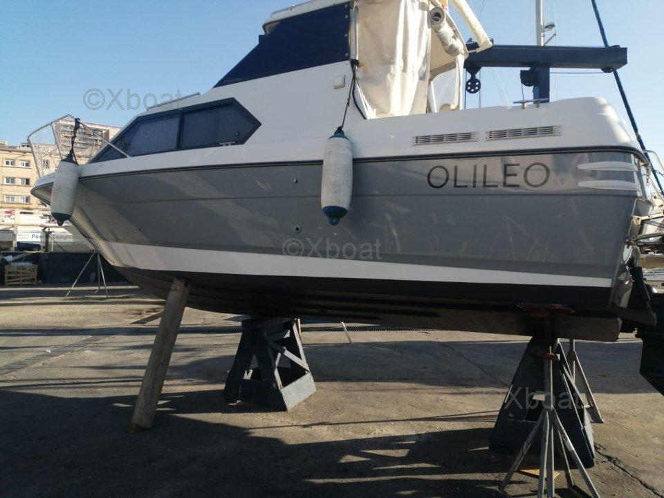 bayliner Bayliner 2452 ciera