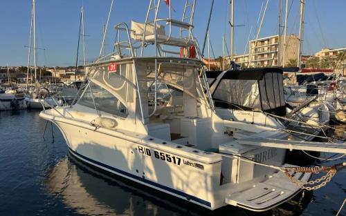 Luhrs luhrs 28 open