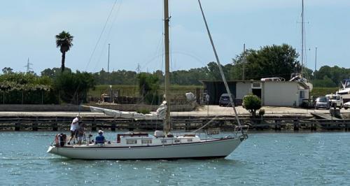 Benello s&s 36
