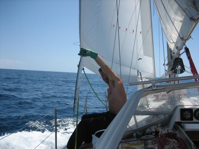 Epervier 35 dl