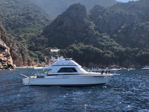 Bertram yacht 37' convertible