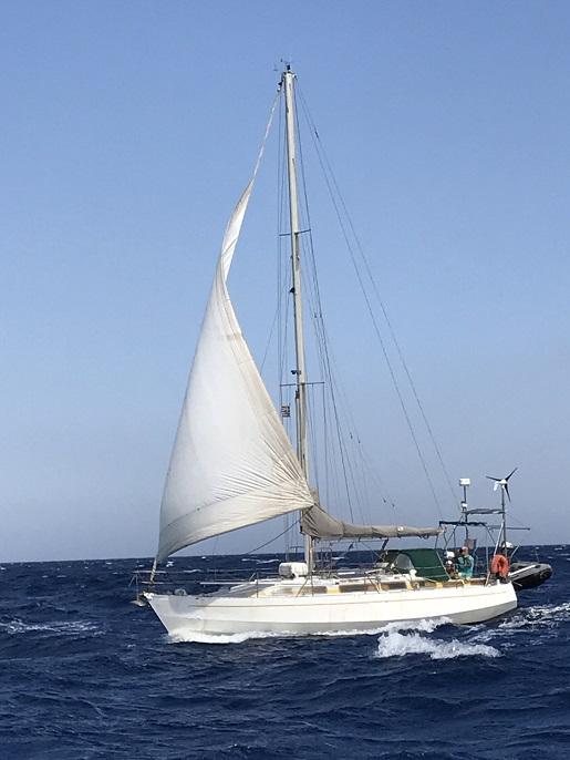 Epervier 35 dl